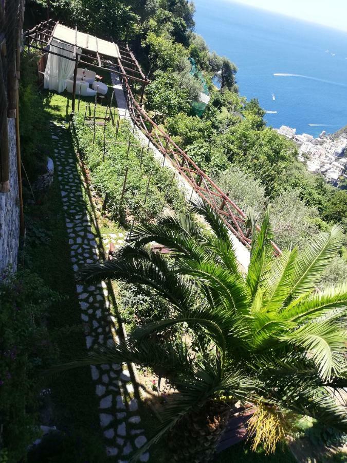 Villa Graziella Positano "A Piece Of Paradise" Exteriör bild